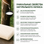 Латексная подушка PTH Таиланд, 60х34х10 см Латексная подушка PTH Таиланд, 60х34х10 см