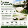 Латексная подушка PT3C-S Таиланд, 58х35х8/10 см